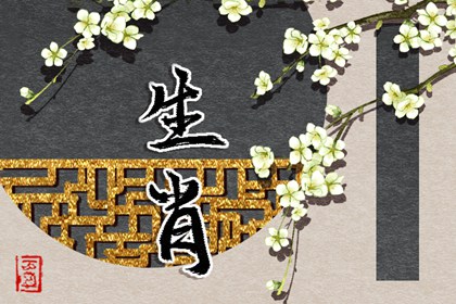 紫微运势曲线算命 汉程紫微排盘 测算紫薇命盘 起四柱八字命盘 文墨紫薇斗数排盘 八字桃花命盘查询